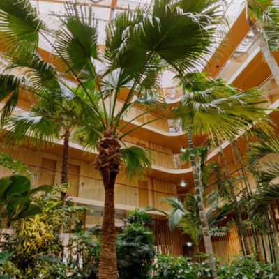 360 foto subtropische binnentuin
